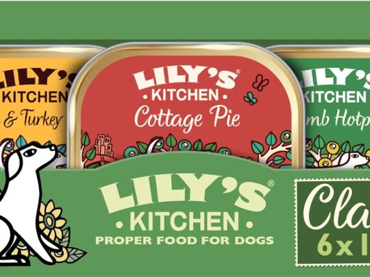 Lily's Kitchen Natural Adult Dog Food Wet Trays